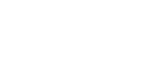 دی ایرانیان